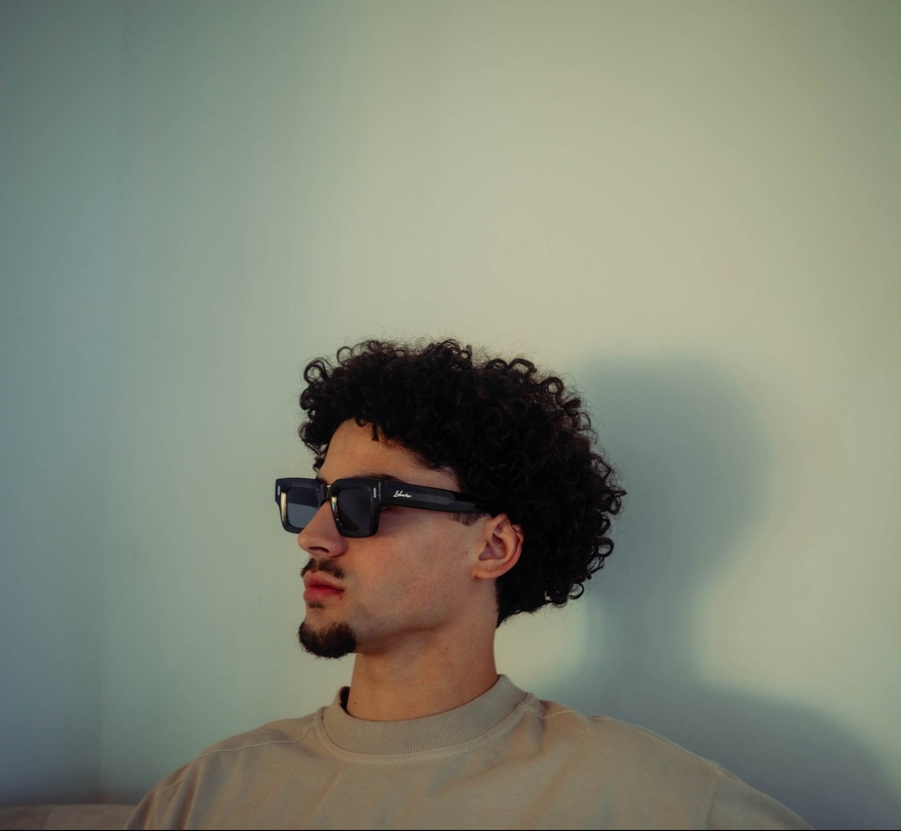 Signature Lohaven sunglasses